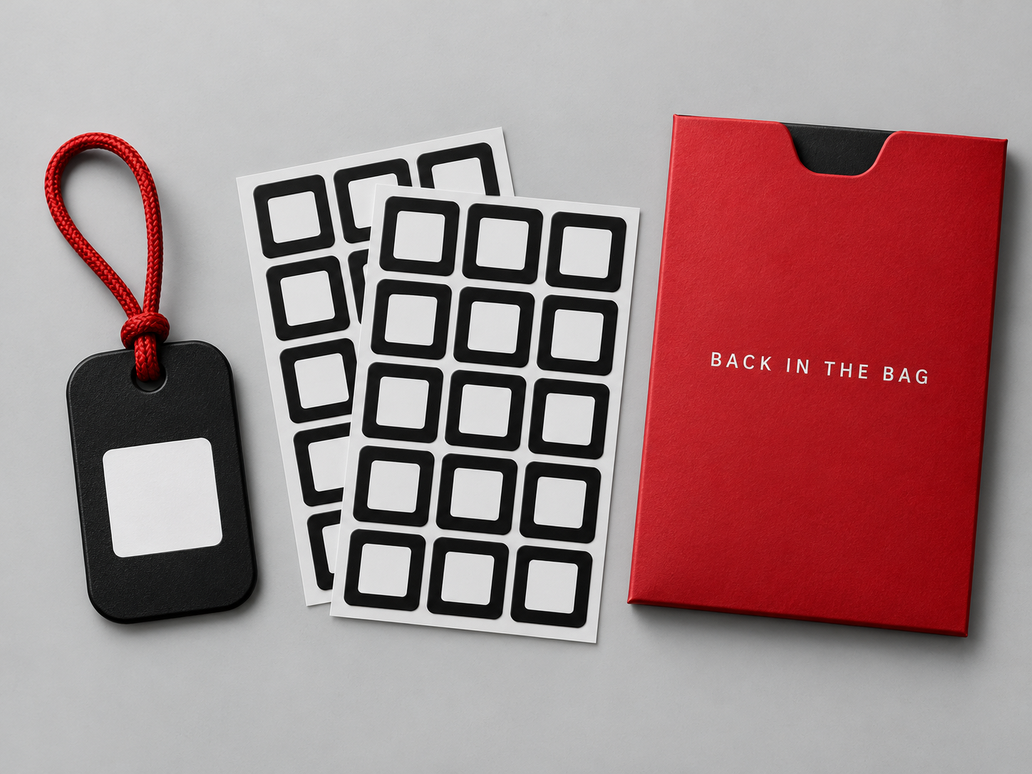 Concept pack of black equipment labels and a bag tag with a red strap